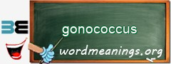 WordMeaning blackboard for gonococcus